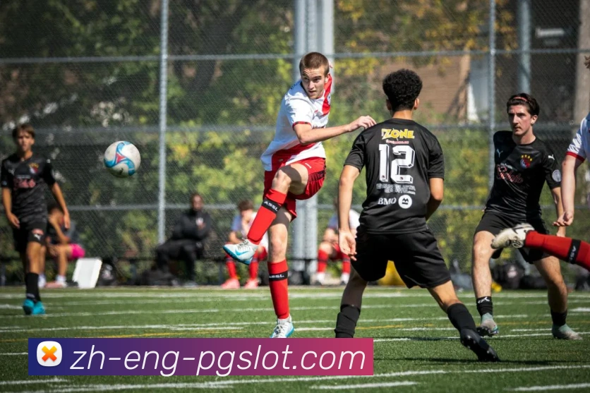 PG电子官网平台生态图